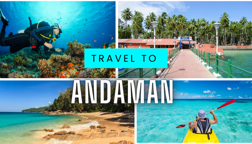 Andaman Tour Package Right for You on a Budget